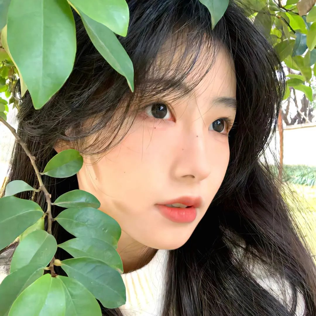 再见非洲